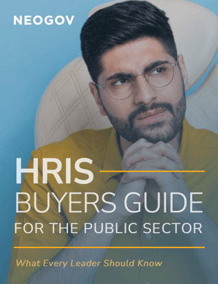 HRIS Buyers Guide for the Public Sector Thumbnail